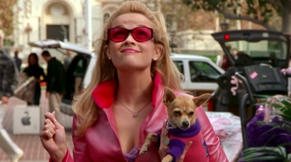 Reese Witherspoon in Legally Blonde 2 
