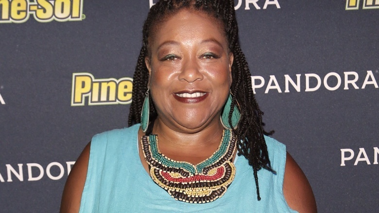 Diane Amos - The Pine Sol Lady