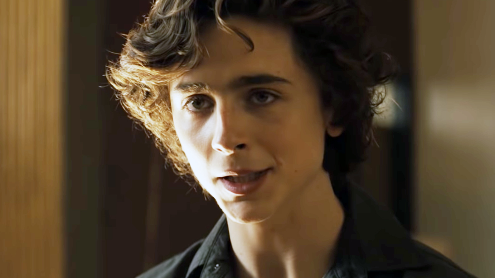 Beautiful Boy Trailer Steve Carell, Timothée Chalamet Are